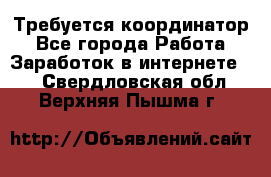 Требуется координатор - Все города Работа » Заработок в интернете   . Свердловская обл.,Верхняя Пышма г.